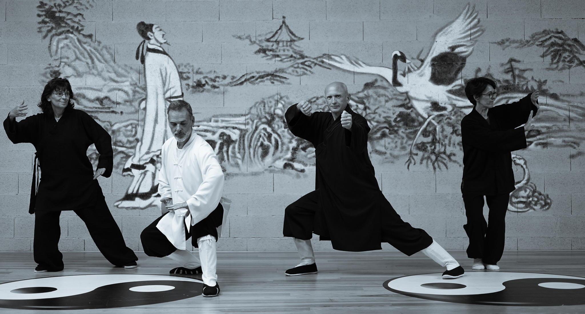 Taichi Wudang, Kung Fu & Ba Gua Zhang - Toulouse Balma Arts Martiaux